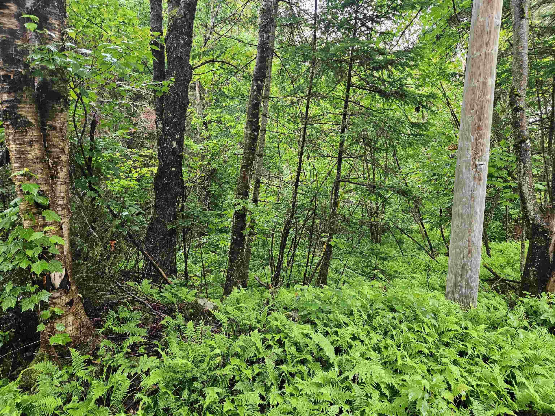 Lot 15 Hadley Road Sugar Hill NH 03586