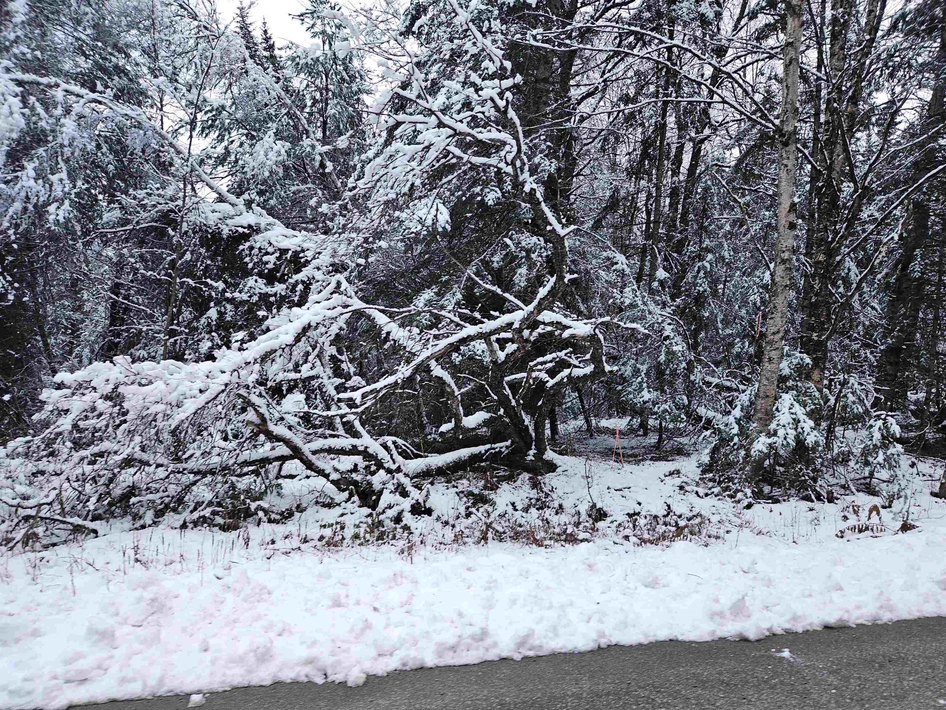 Lot 15 Hadley Road Sugar Hill NH 03586