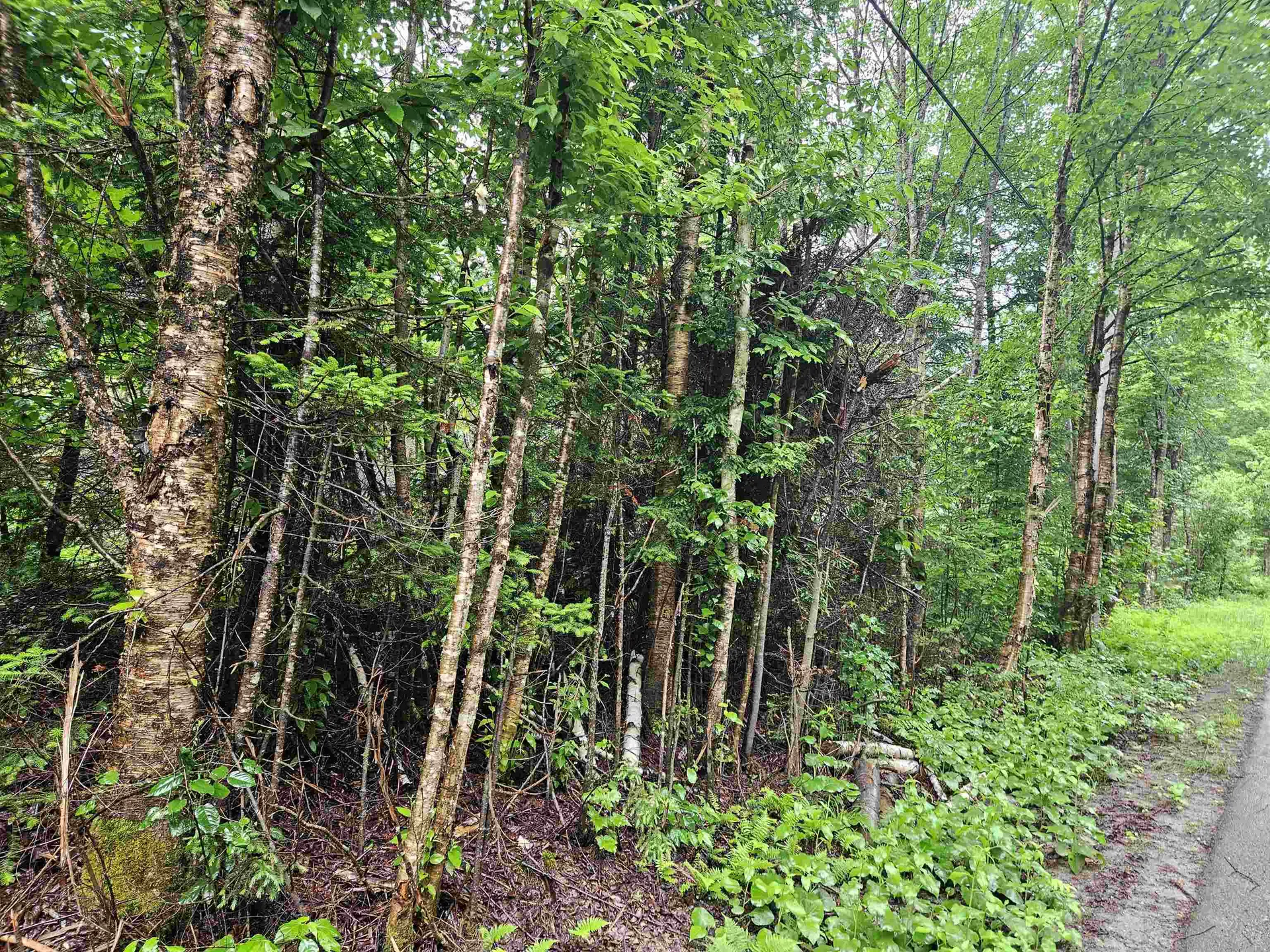 Lot 15 Hadley Road Sugar Hill NH 03586