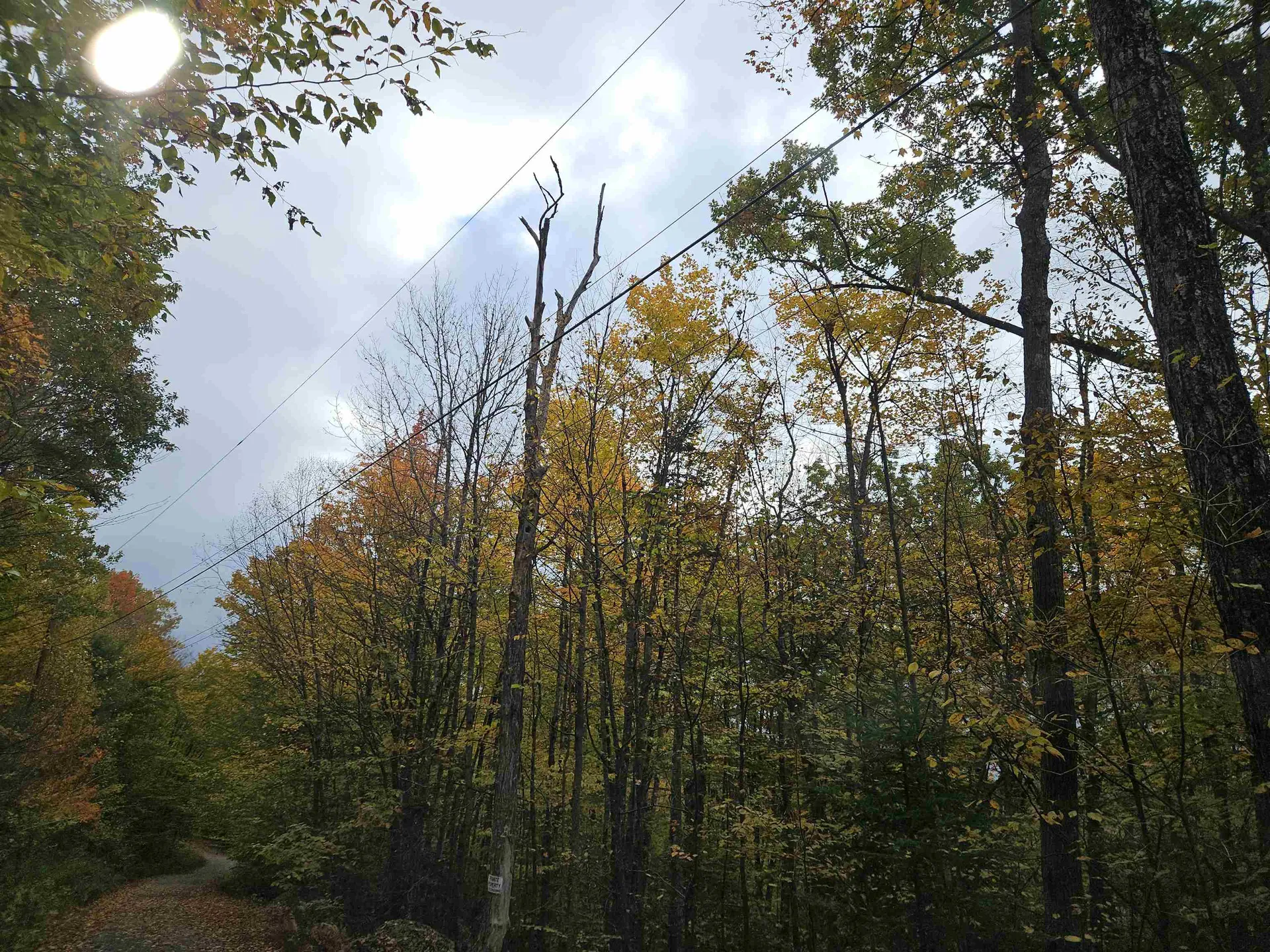 Lot 15 Hadley Road Sugar Hill NH 03586