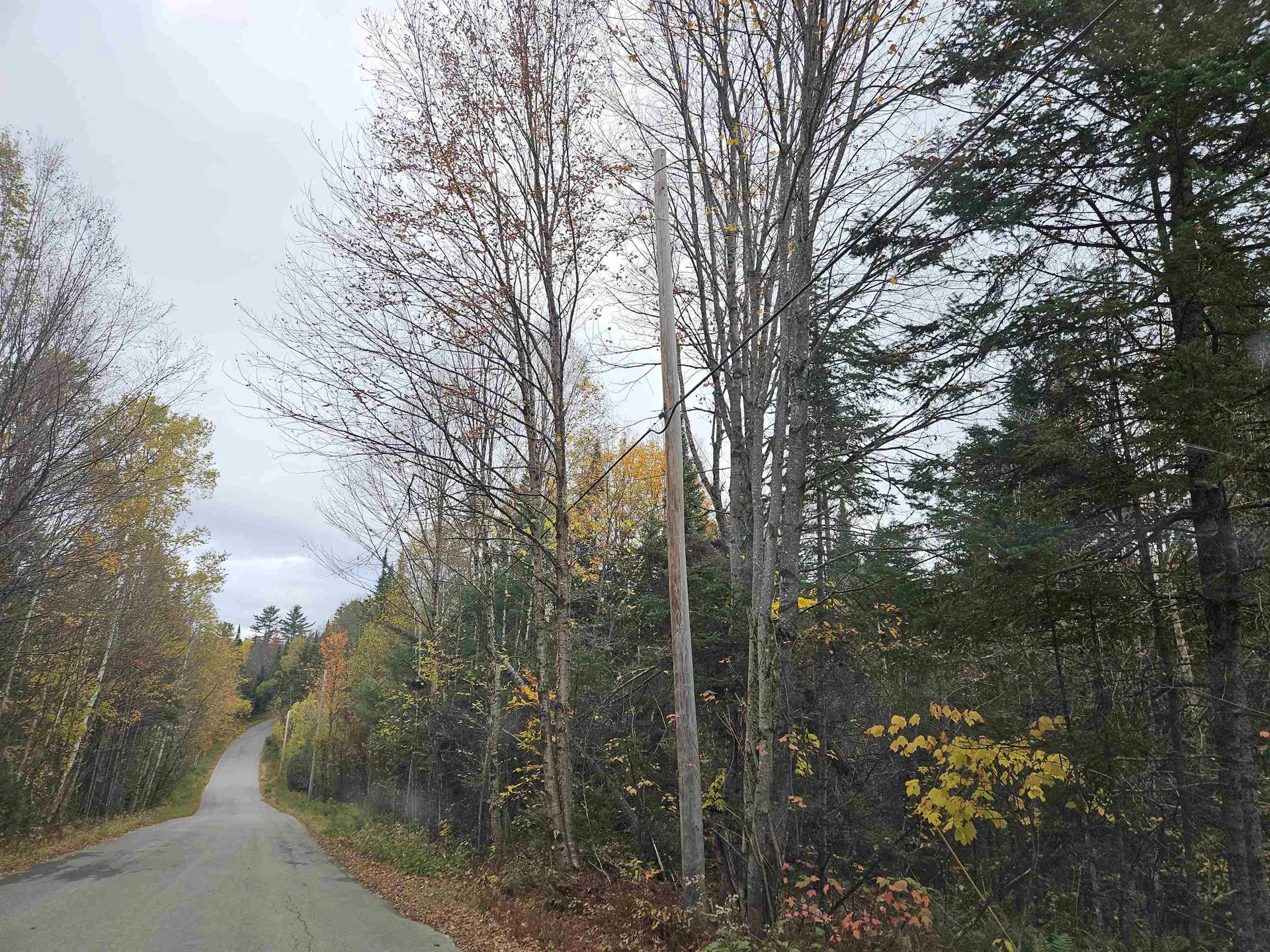 Lot 15 Hadley Road Sugar Hill NH 03586