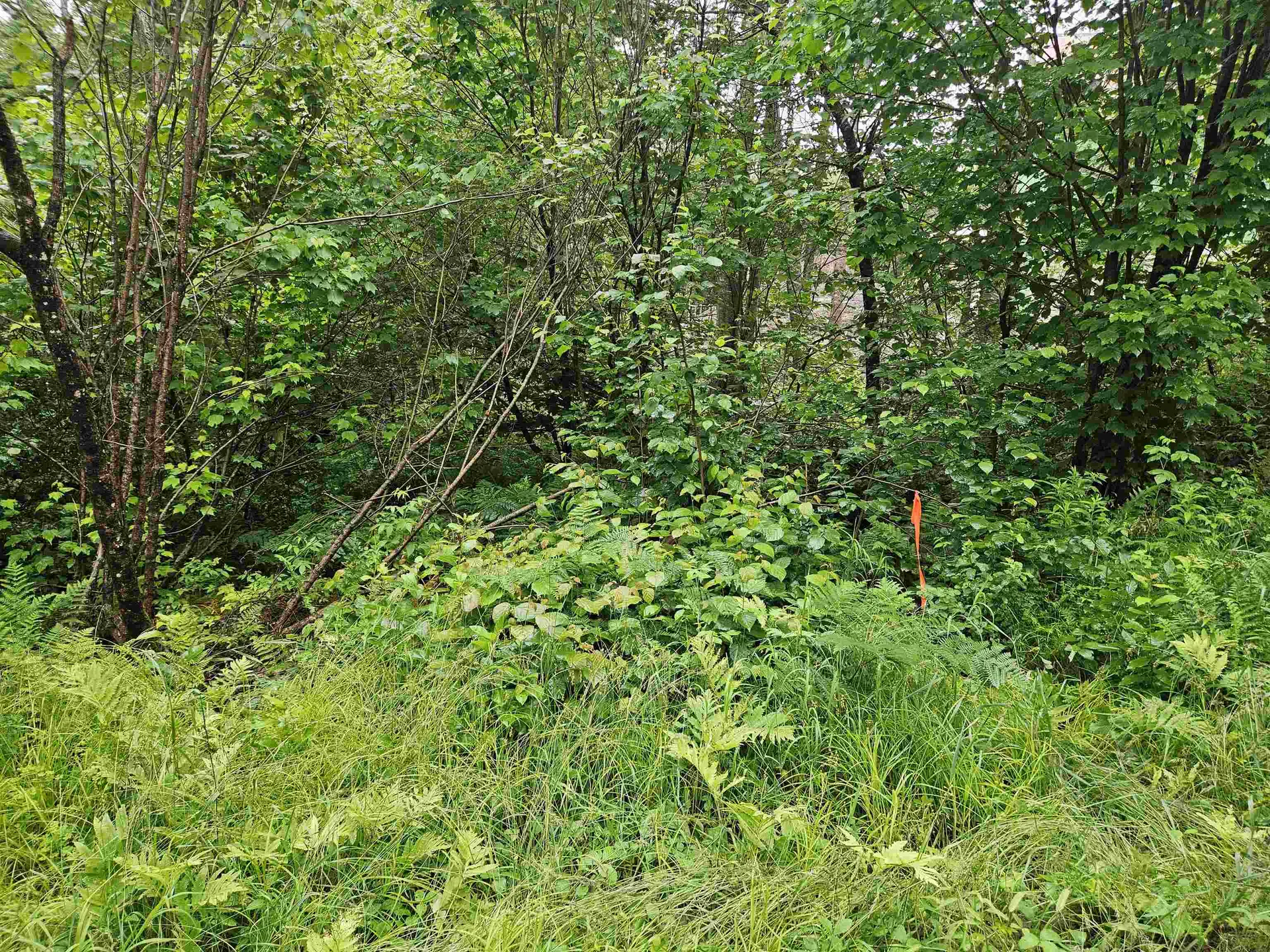 Lot 15 Hadley Road Sugar Hill NH 03586