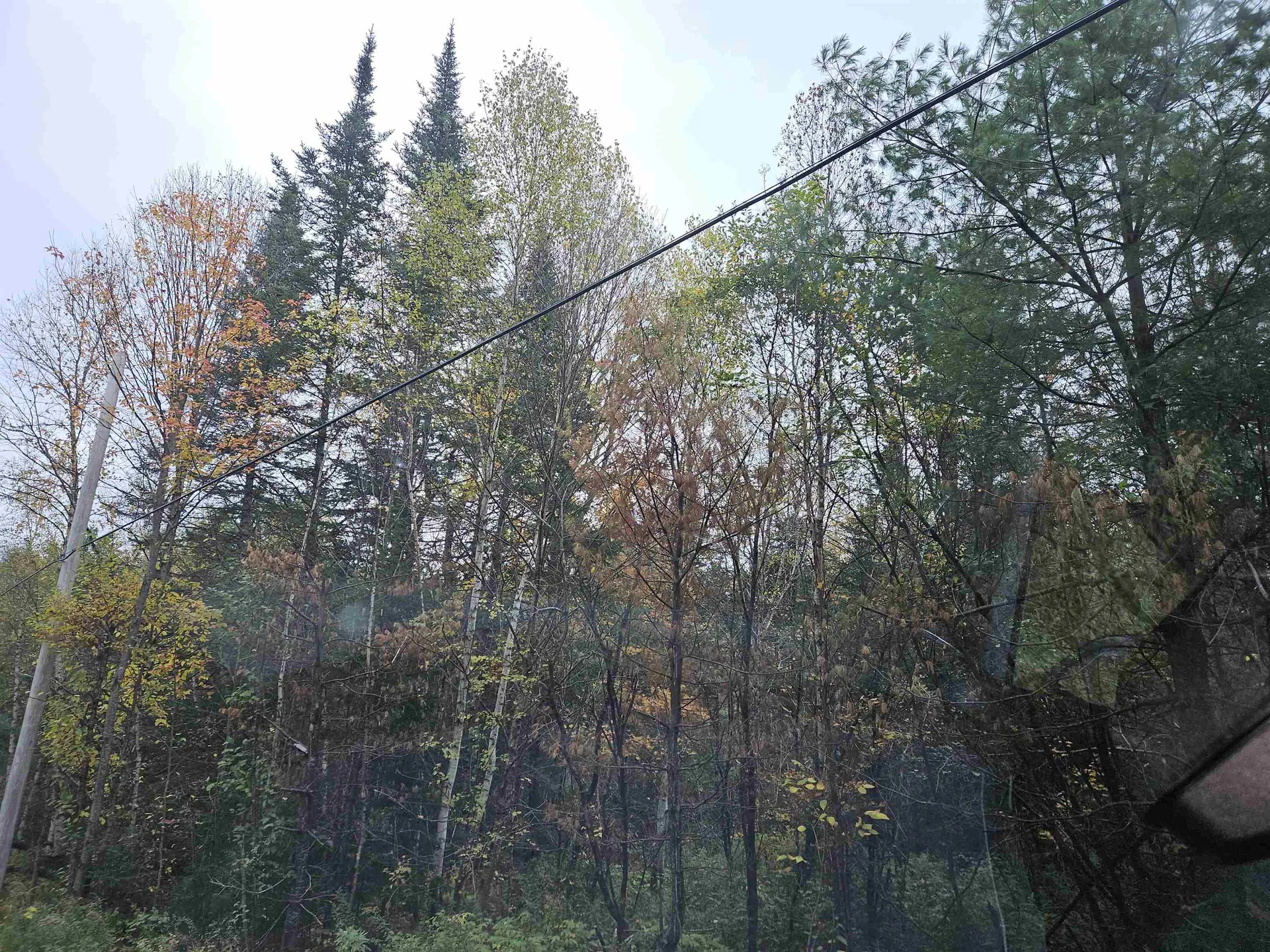 Lot 15 Hadley Road Sugar Hill NH 03586