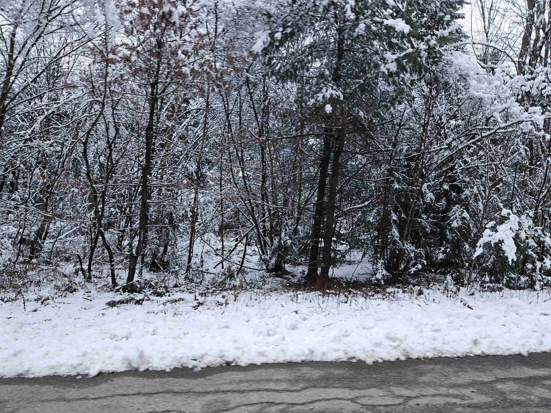 Lot 15 Hadley Road Sugar Hill NH 03586