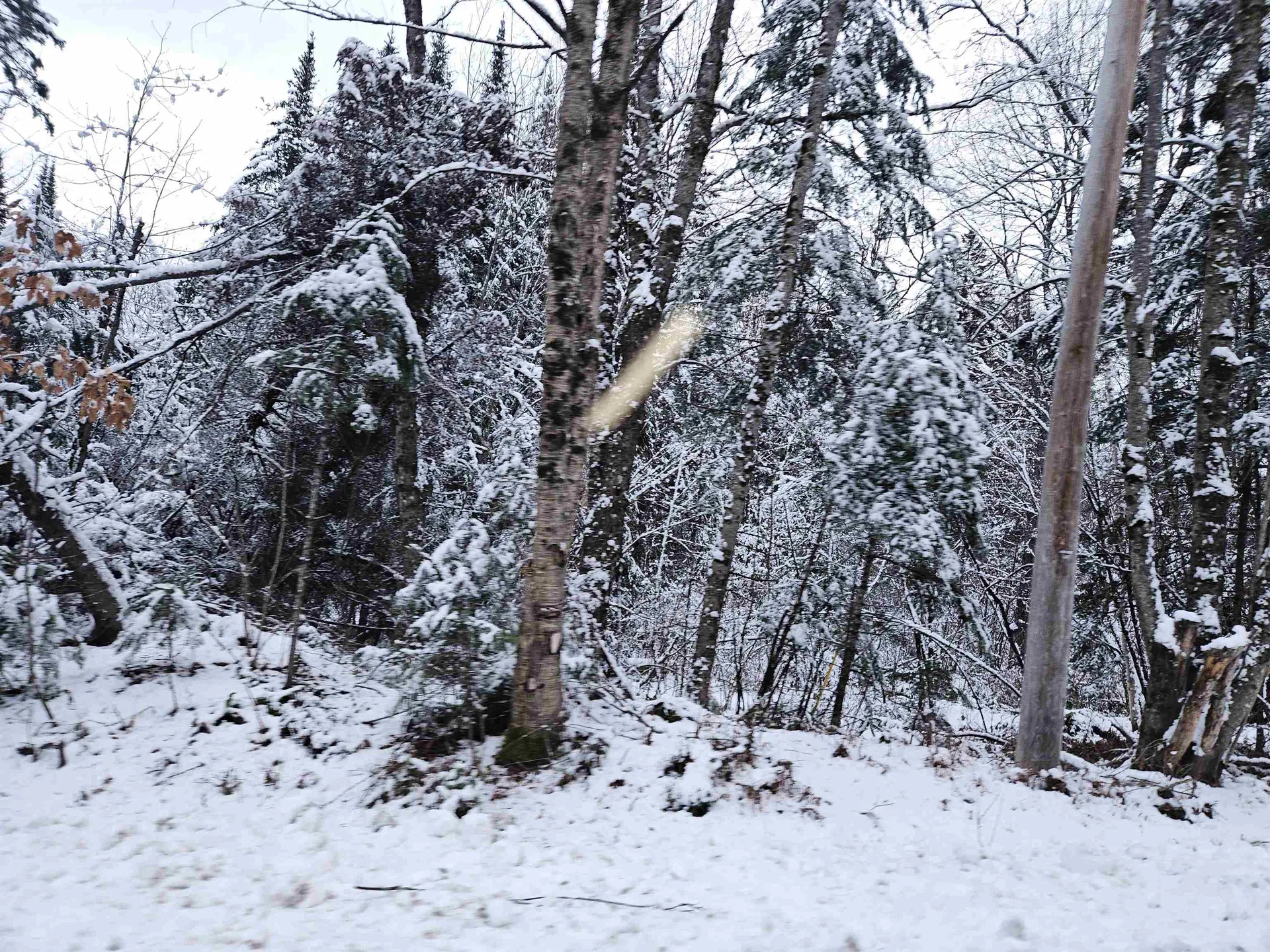 Lot 15 Hadley Road Sugar Hill NH 03586