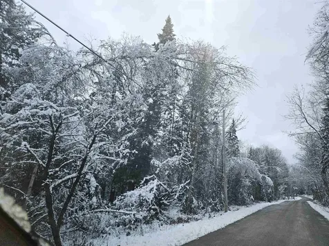 Lot 15 Hadley Road Sugar Hill NH 03586