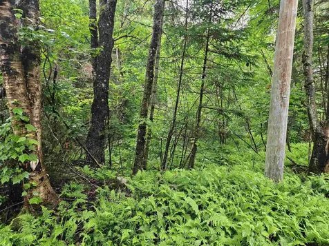 Lot 15 Hadley Road Sugar Hill NH 03586