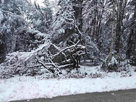 Lot 15 Hadley Road Sugar Hill NH 03586