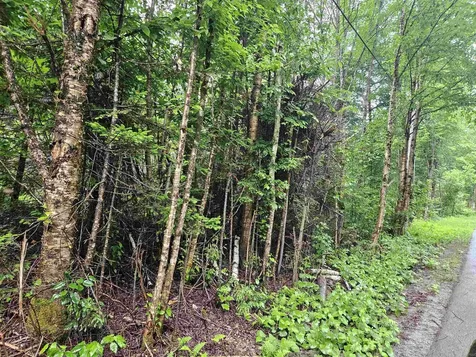 Lot 15 Hadley Road Sugar Hill NH 03586