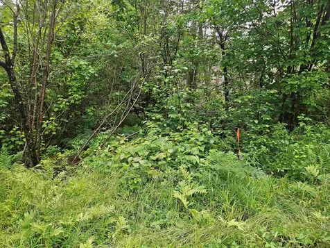 Lot 15 Hadley Road Sugar Hill NH 03586