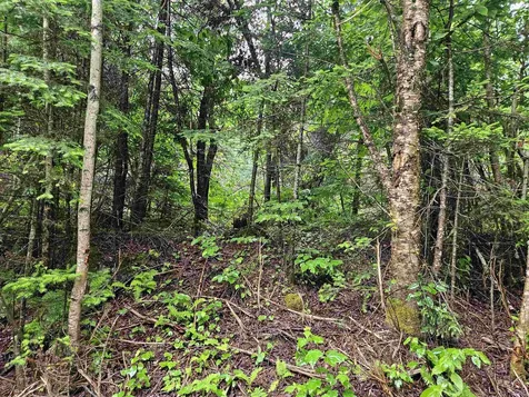 Lot 15 Hadley Road Sugar Hill NH 03586