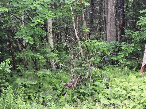 Lot 15 Hadley Road Sugar Hill NH 03586