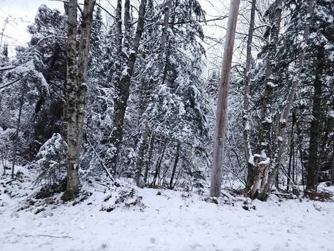 Lot 15 Hadley Road Sugar Hill NH 03586