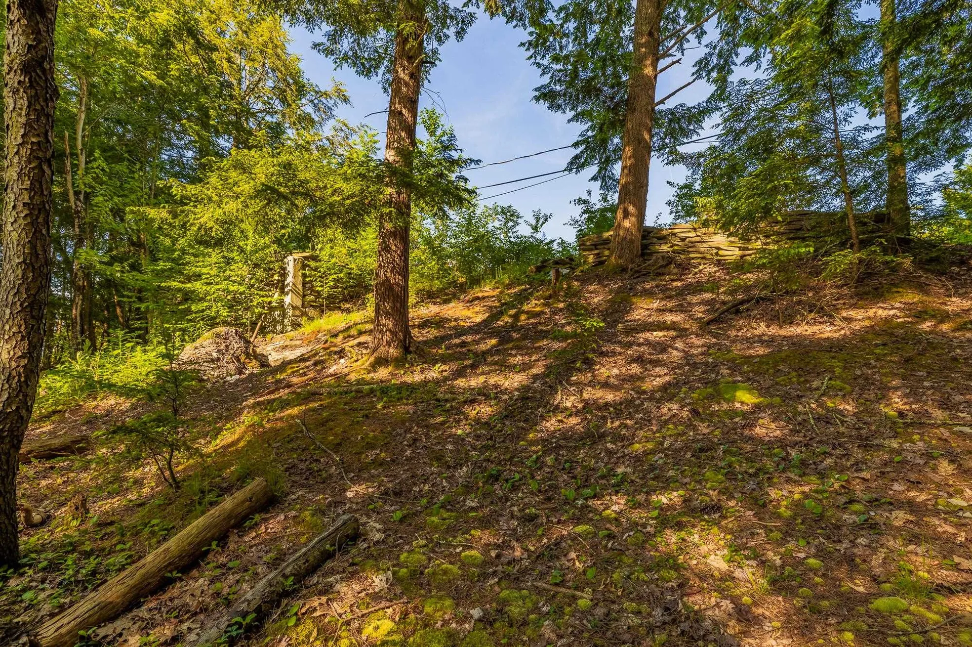 123 Peninsula Drive Poultney VT 05764