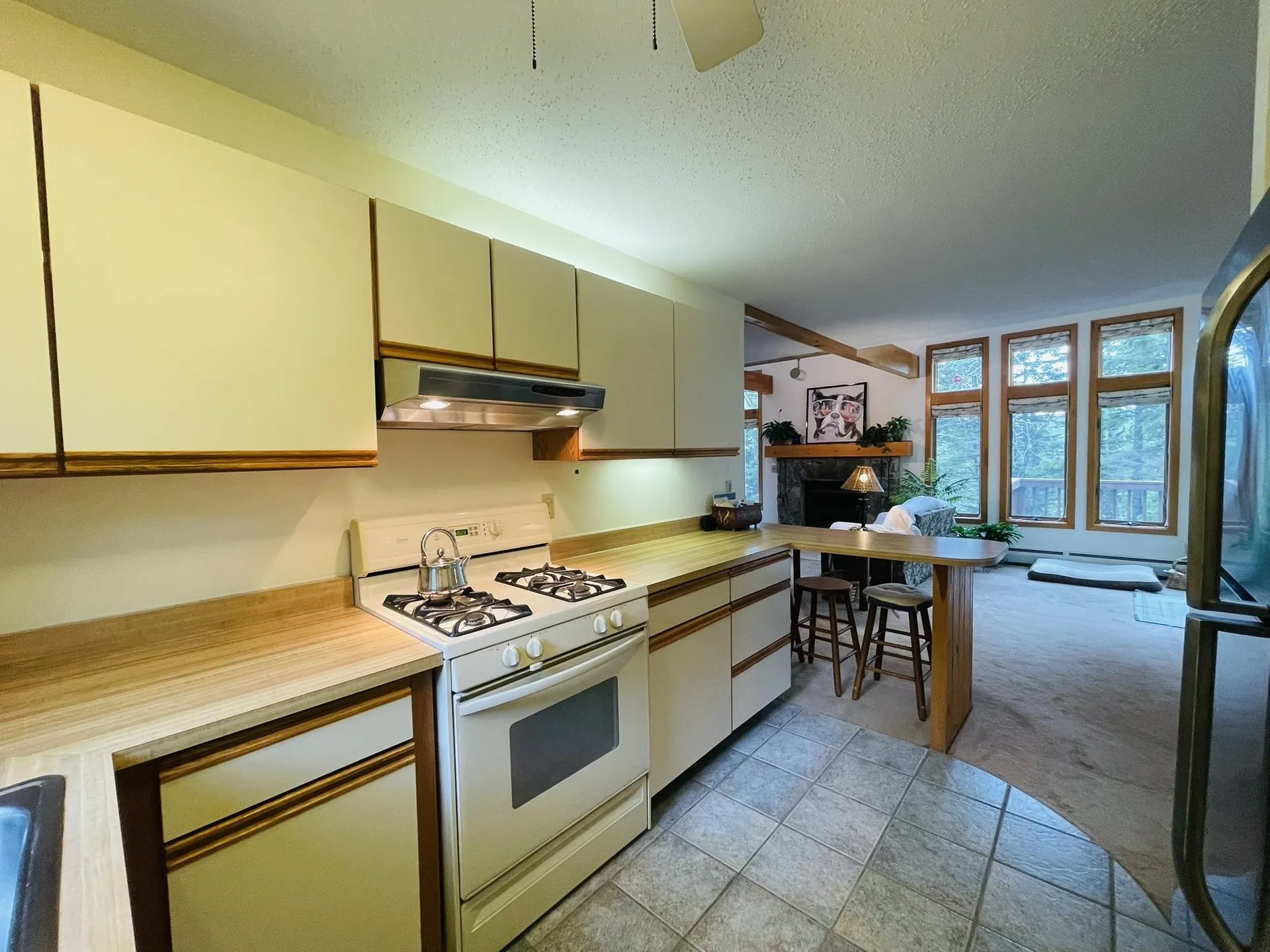 9 First Lane Wilmington VT 05363