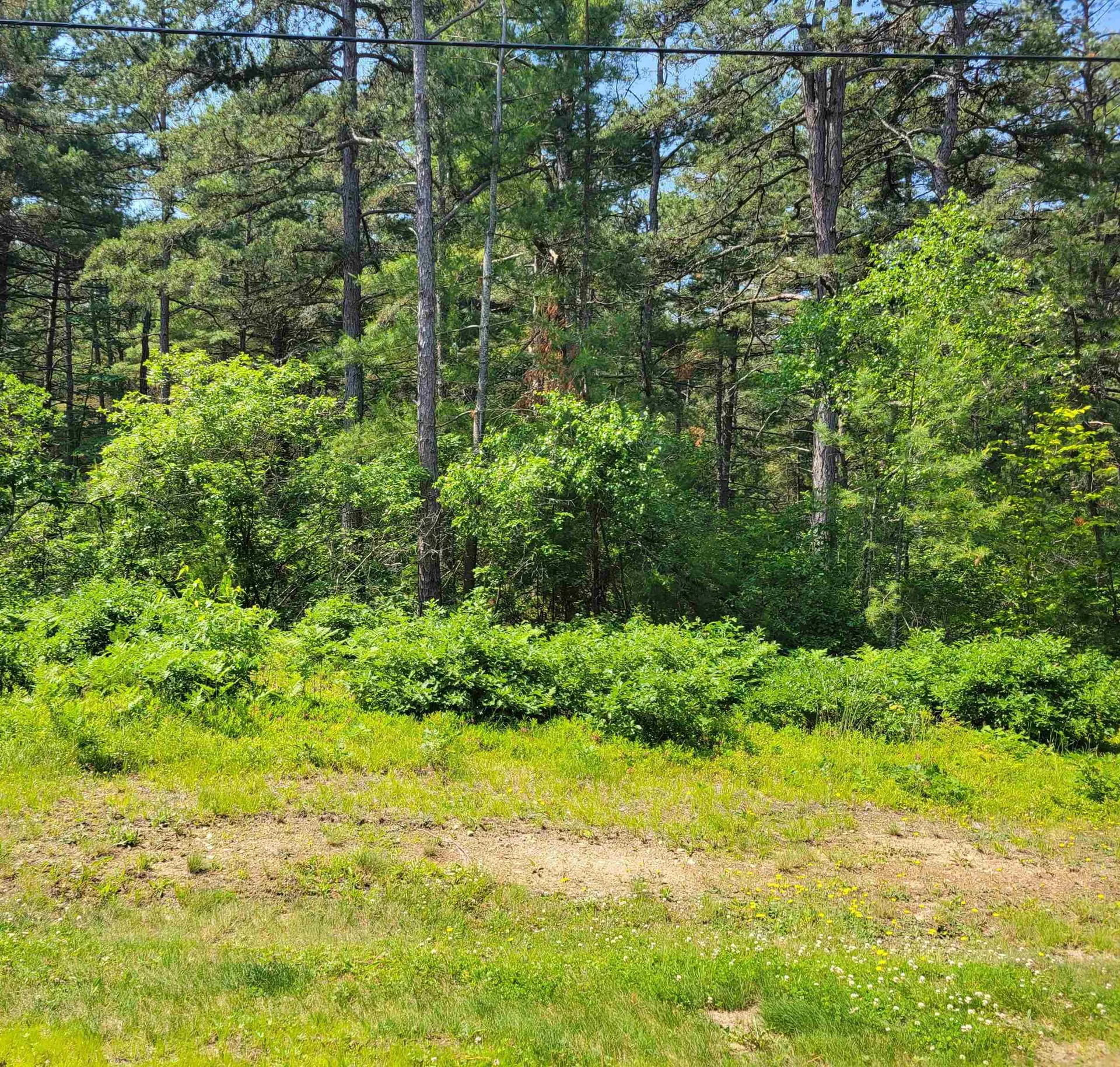 26 Logan Way Ossipee NH 03864