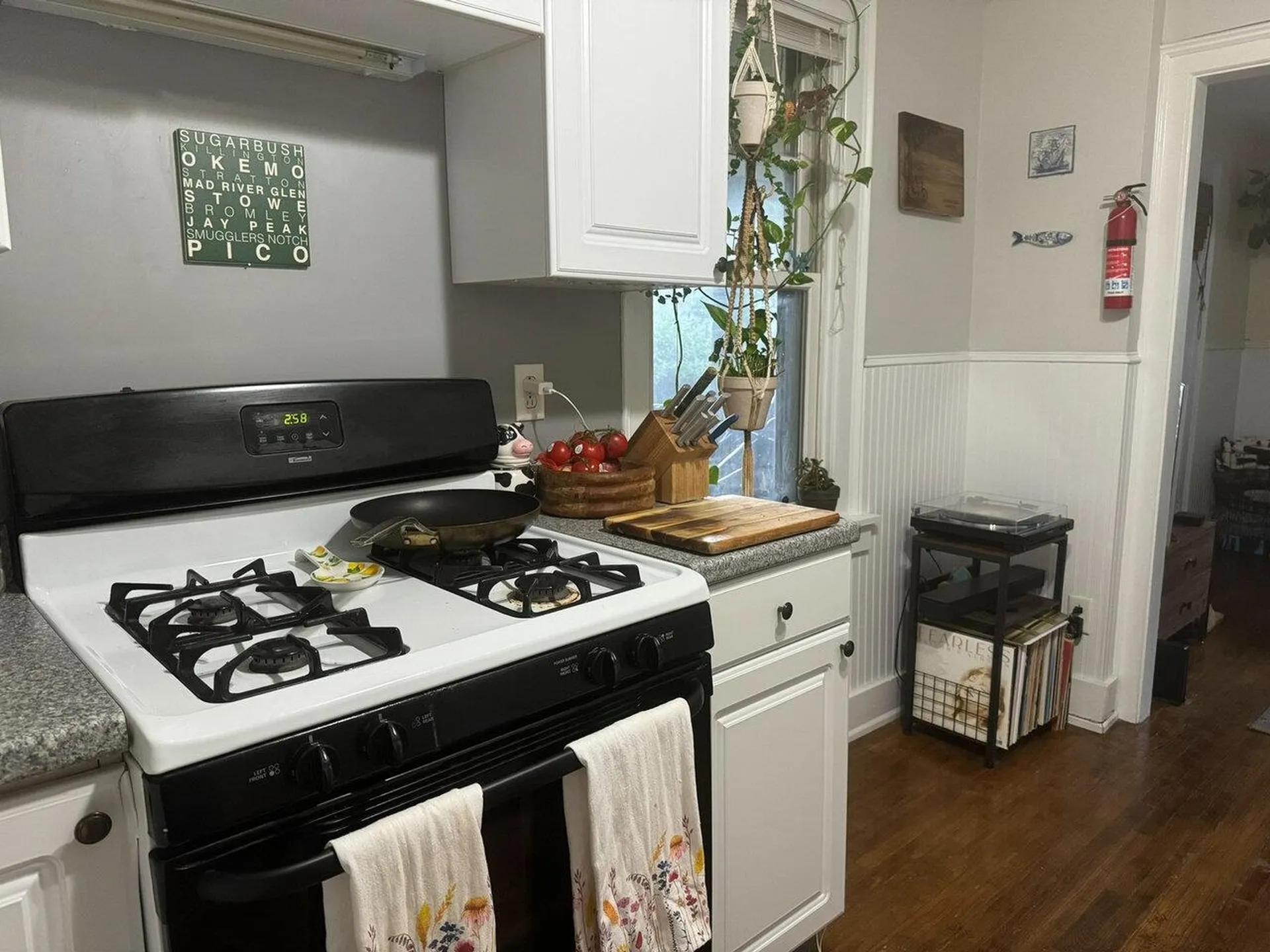 117 Park Street Burlington VT 05403