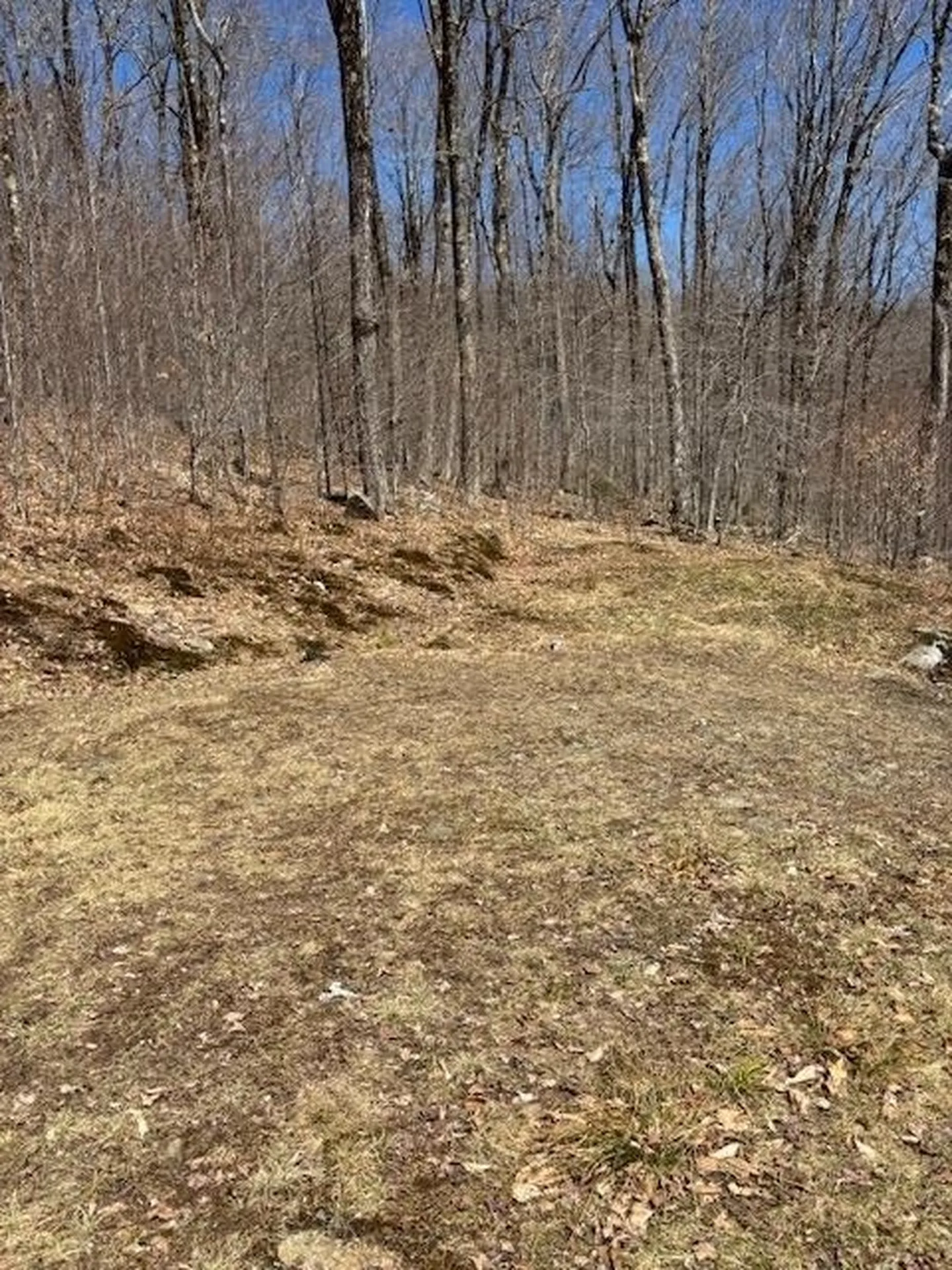 879 Bergrucken Lane Stamford VT 05350