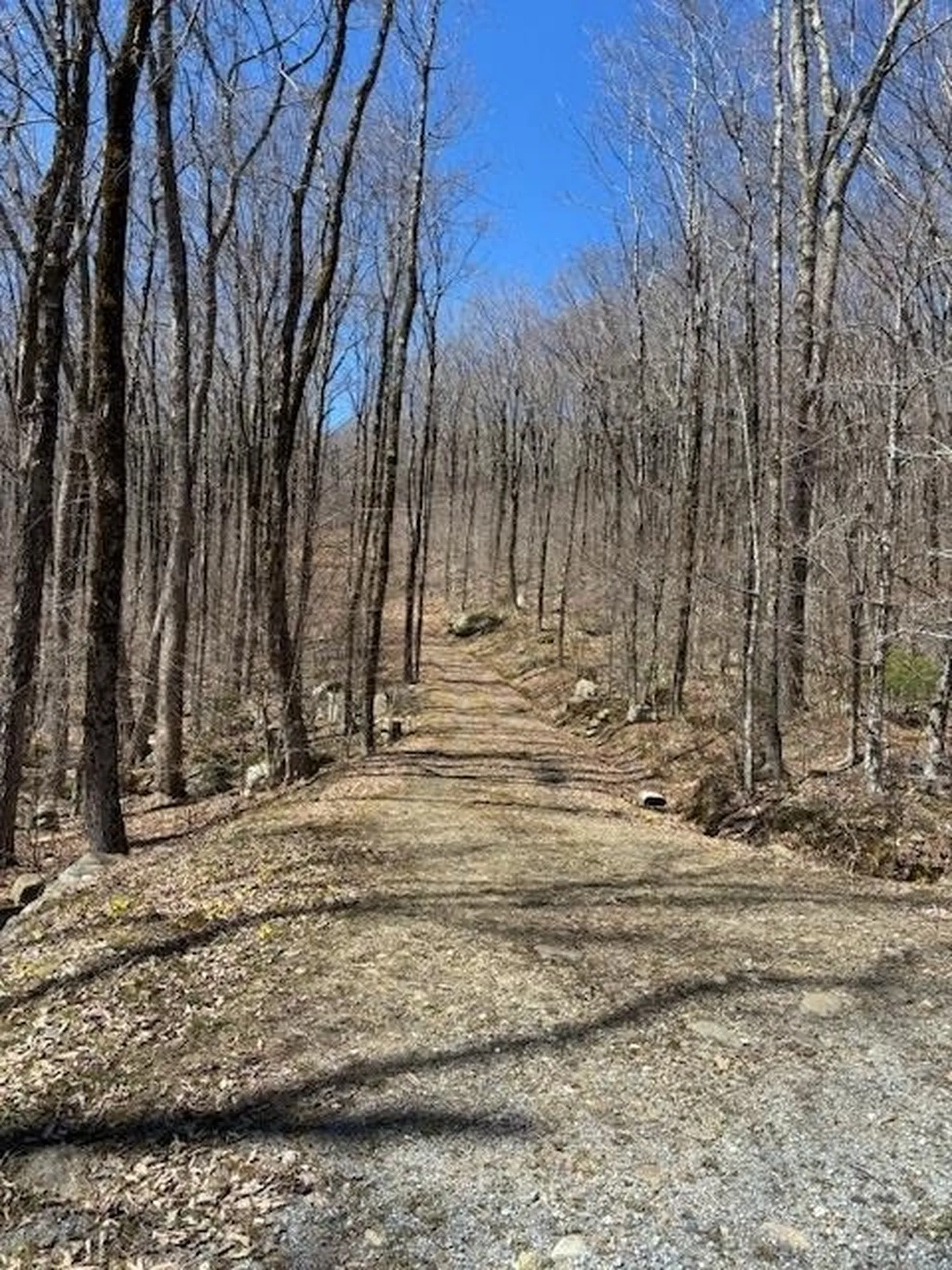 879 Bergrucken Lane Stamford VT 05350