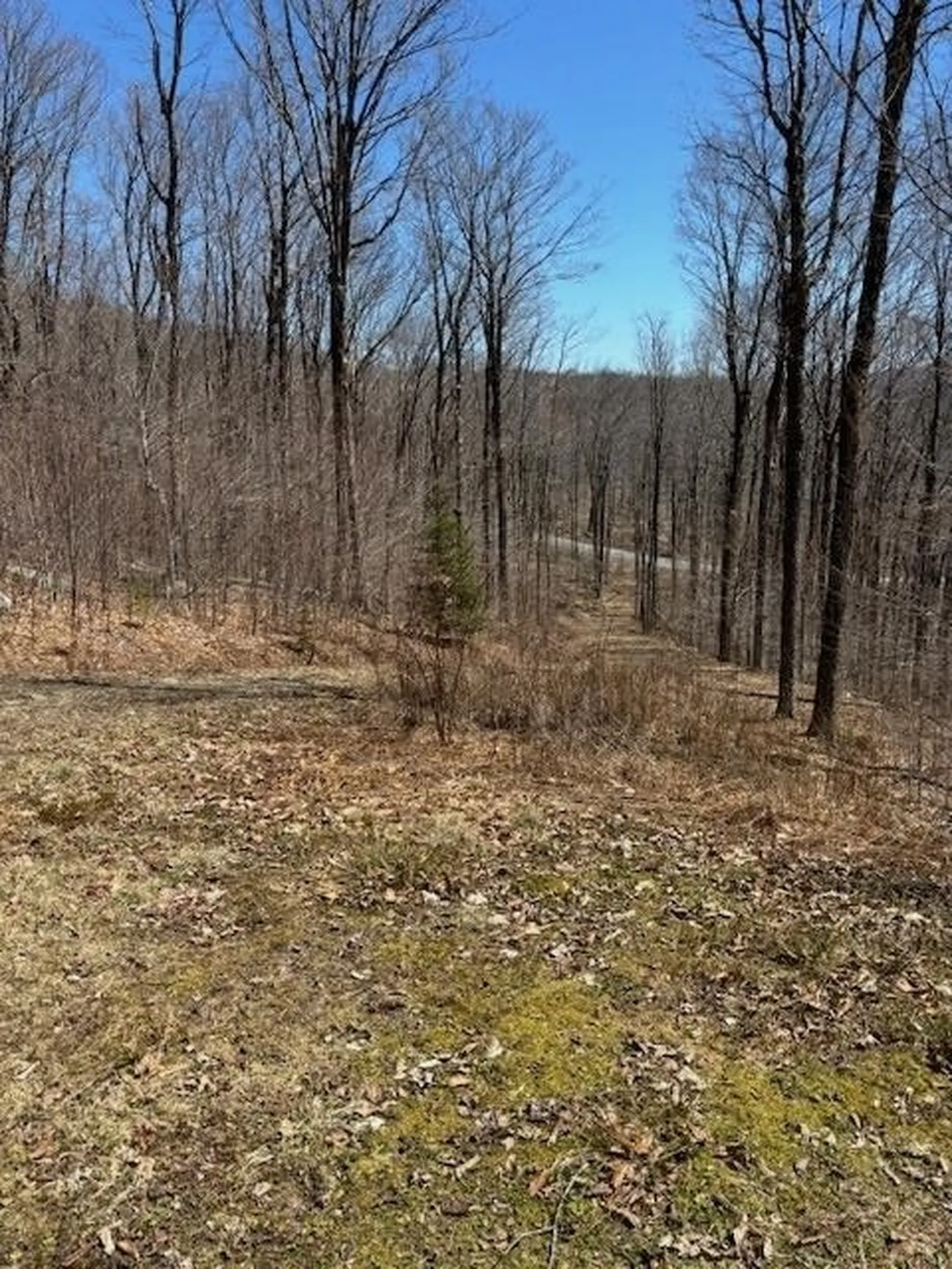 879 Bergrucken Lane Stamford VT 05350