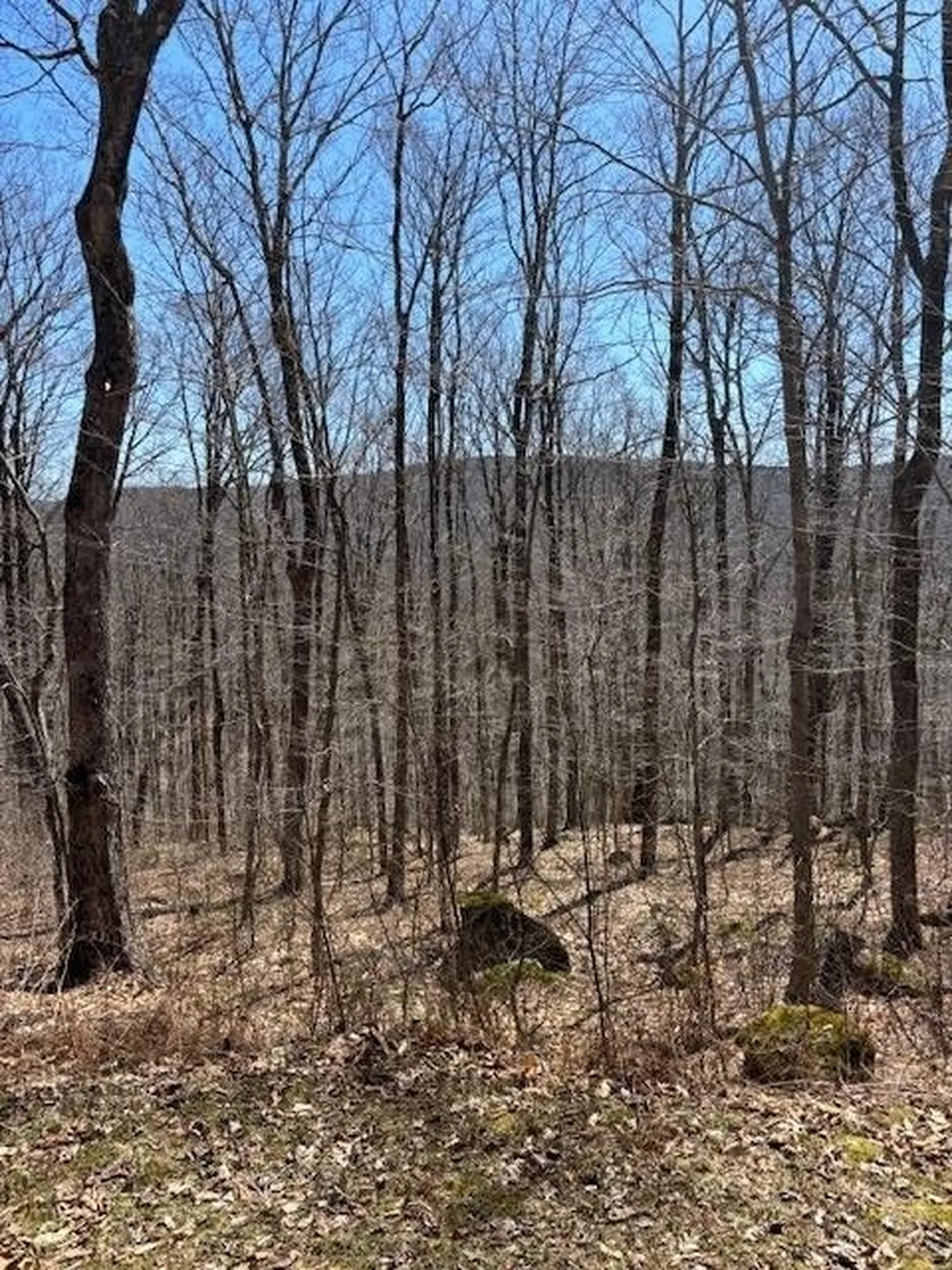 879 Bergrucken Lane Stamford VT 05350