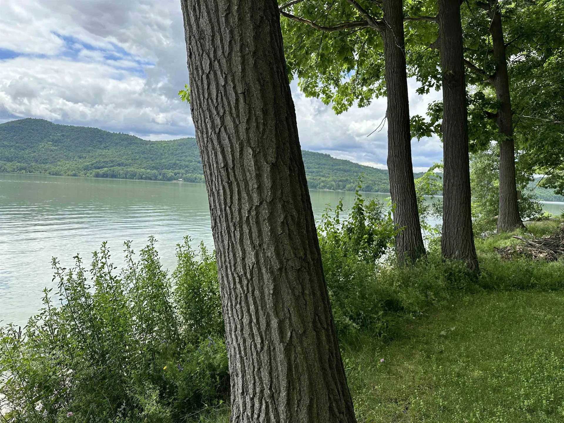 51 Island Drive Bridport VT 05734