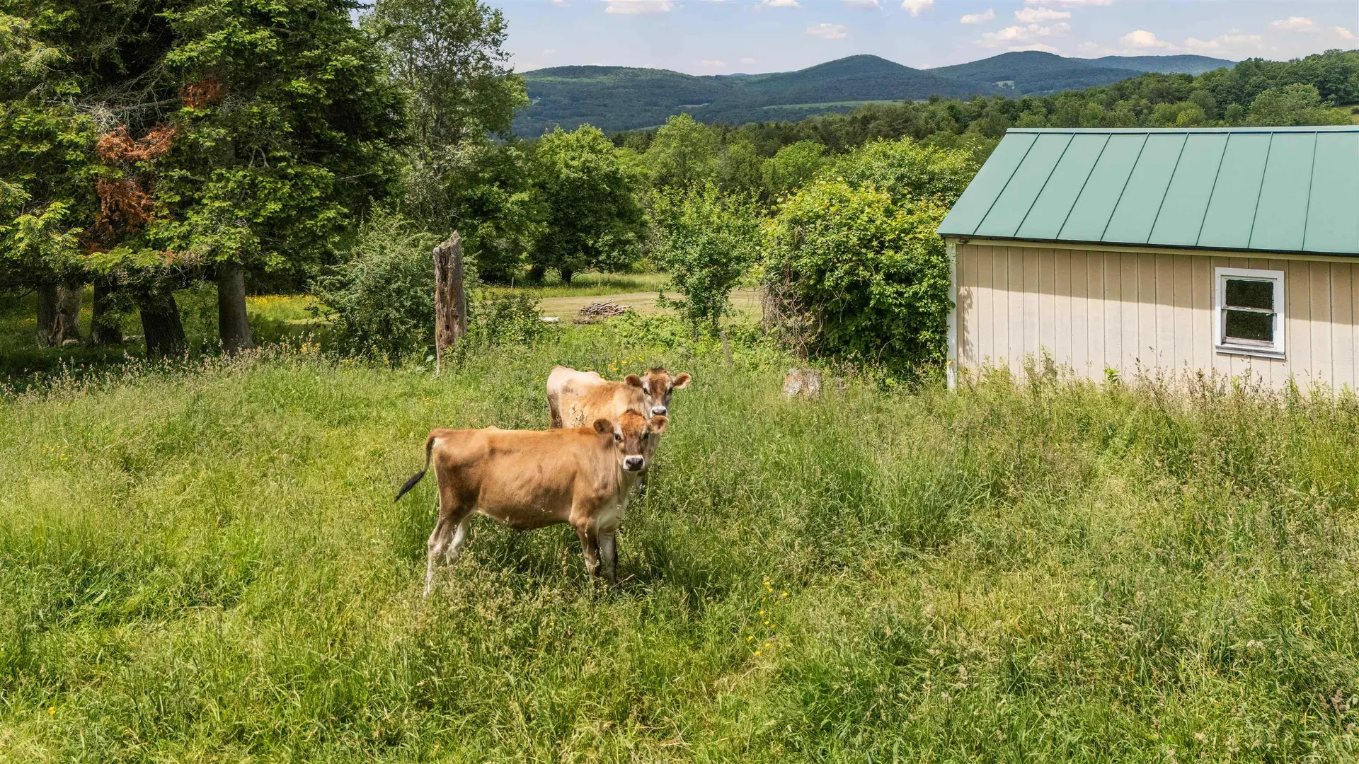 540 Churchill Road Brookfield VT 05036