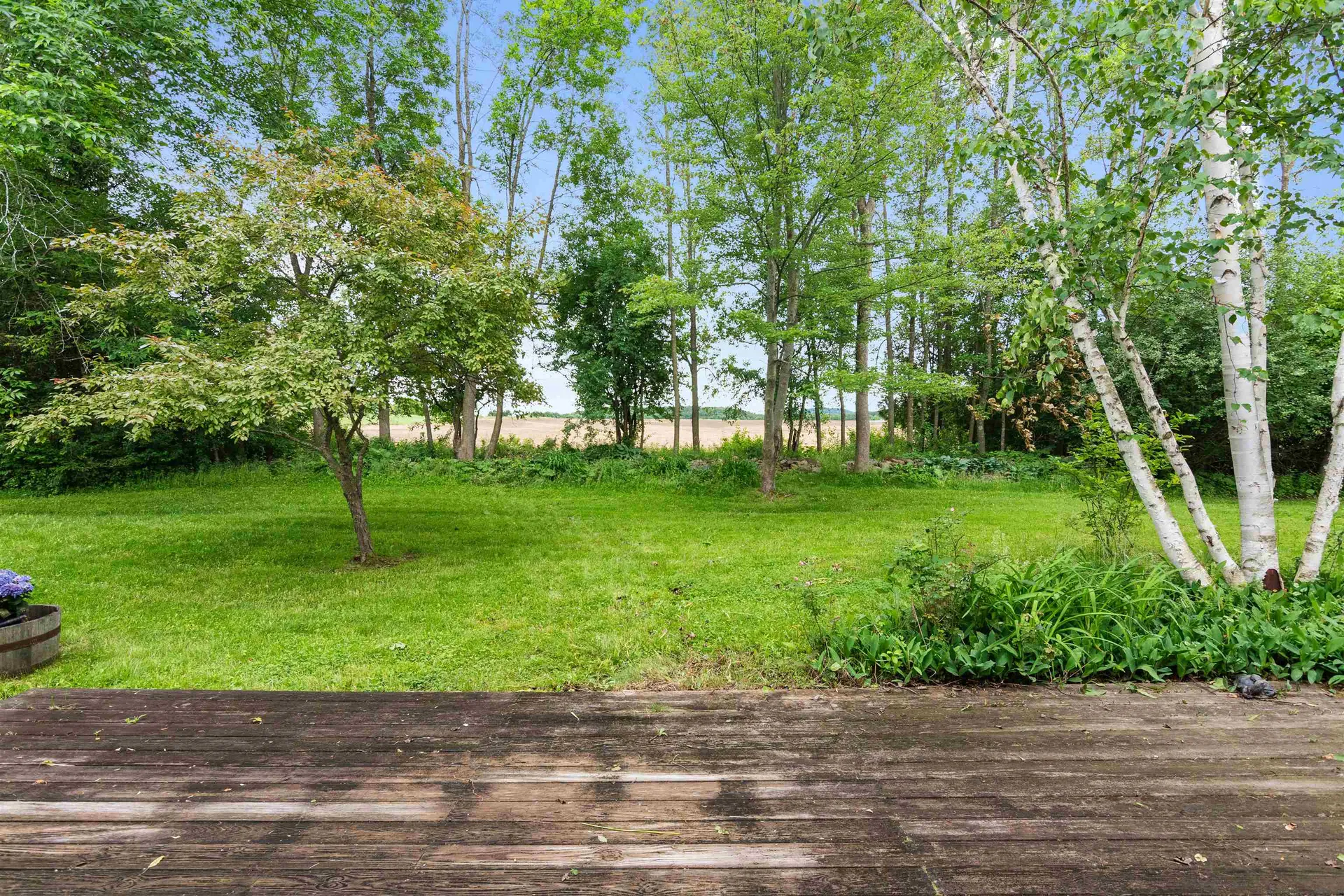 141 Covington Lane Shelburne VT 05482