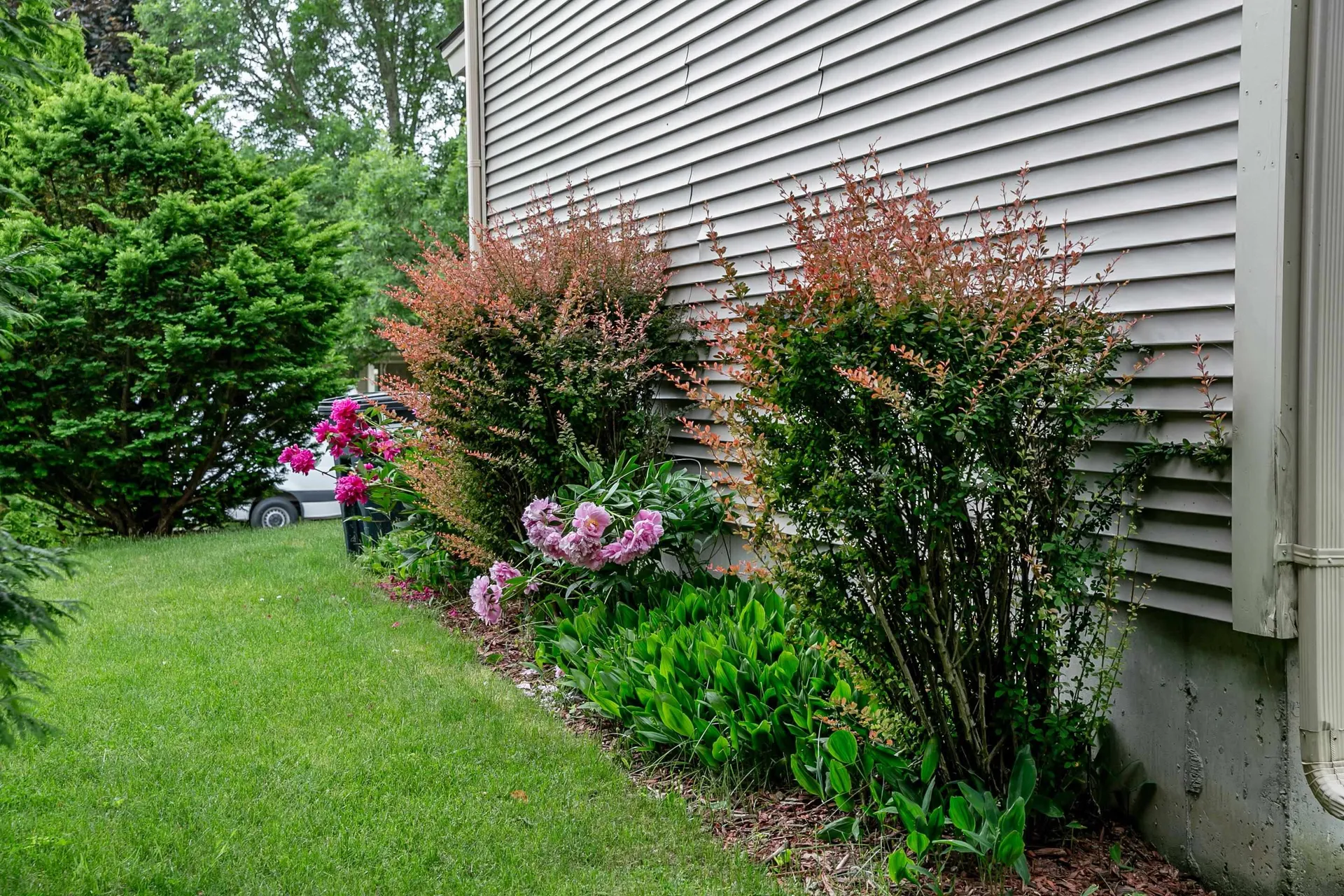 23 Floral Street South Burlington VT 05403