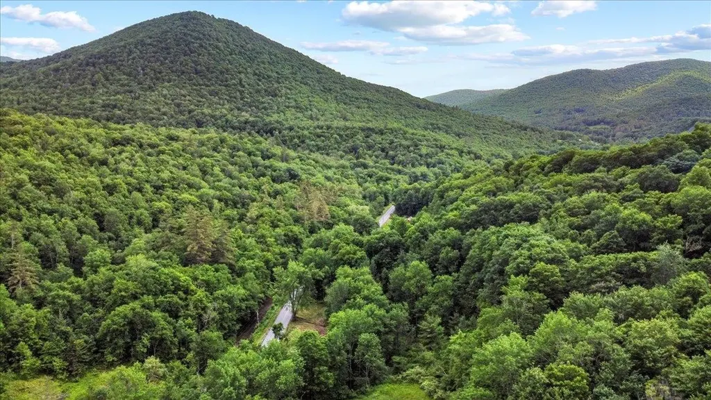 4355 Sandgate Road Sandgate VT 05250
