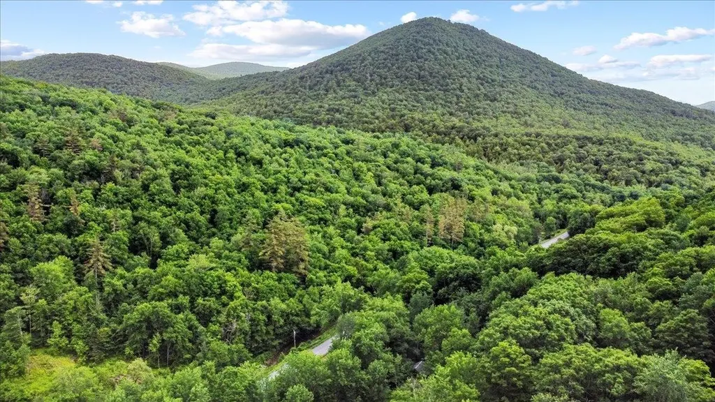 4355 Sandgate Road Sandgate VT 05250