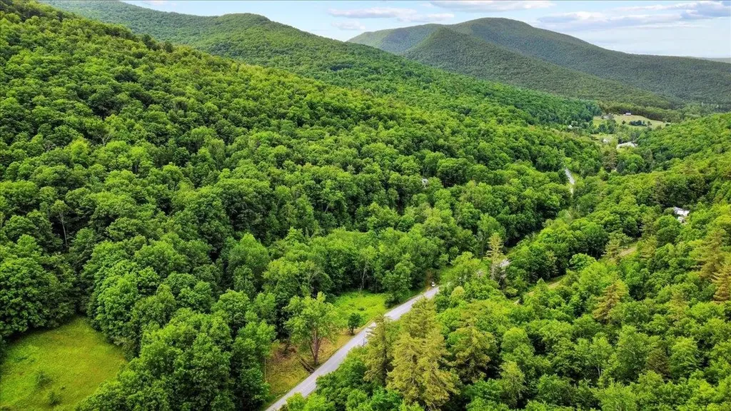 4355 Sandgate Road Sandgate VT 05250