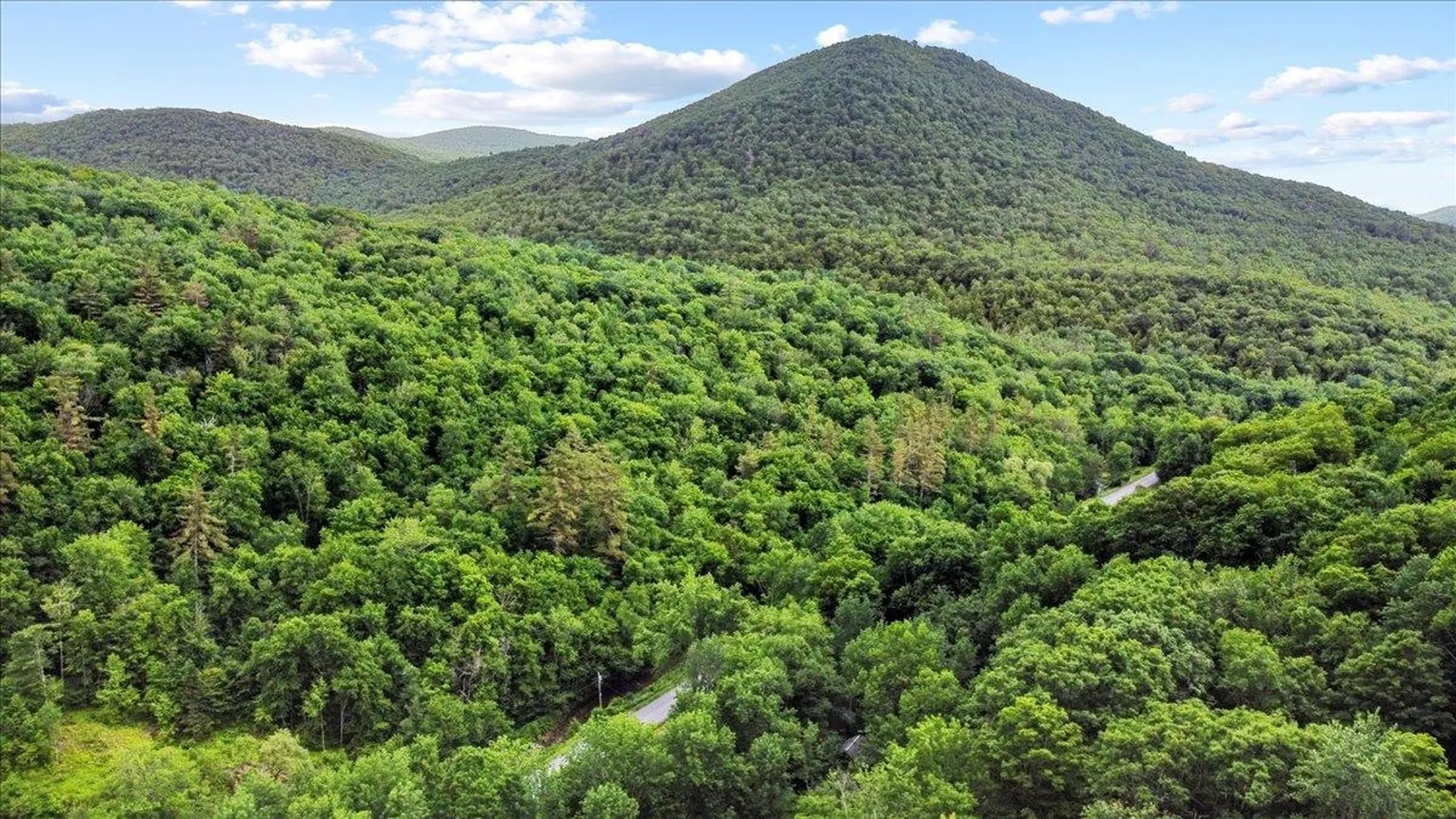 4355 Sandgate Road Sandgate VT 05250