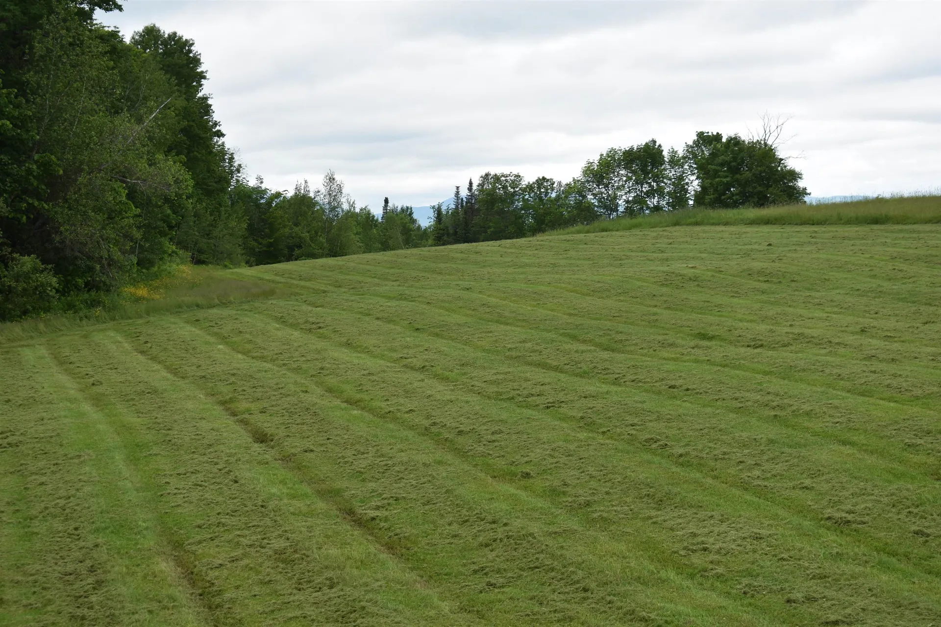 1410 Poginy Hill Road Newport Town VT 05857