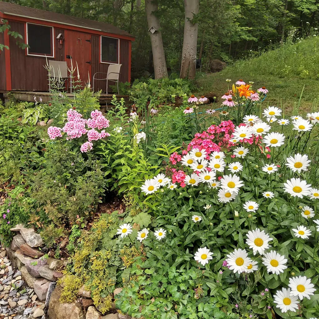 28 South Shore Road Monkton VT 05469