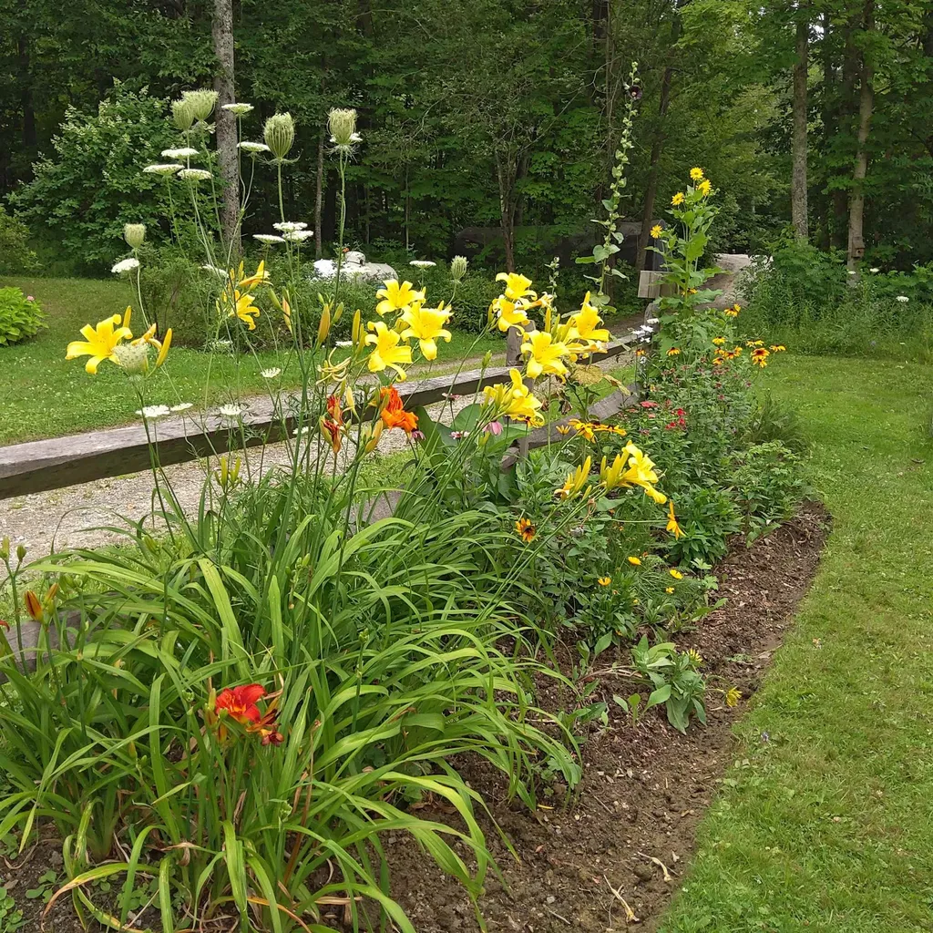 28 South Shore Road Monkton VT 05469