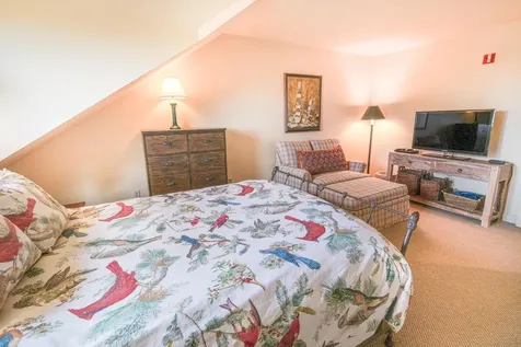 51 Alpine Way Ludlow VT 05149