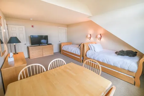 51 Alpine Way Ludlow VT 05149