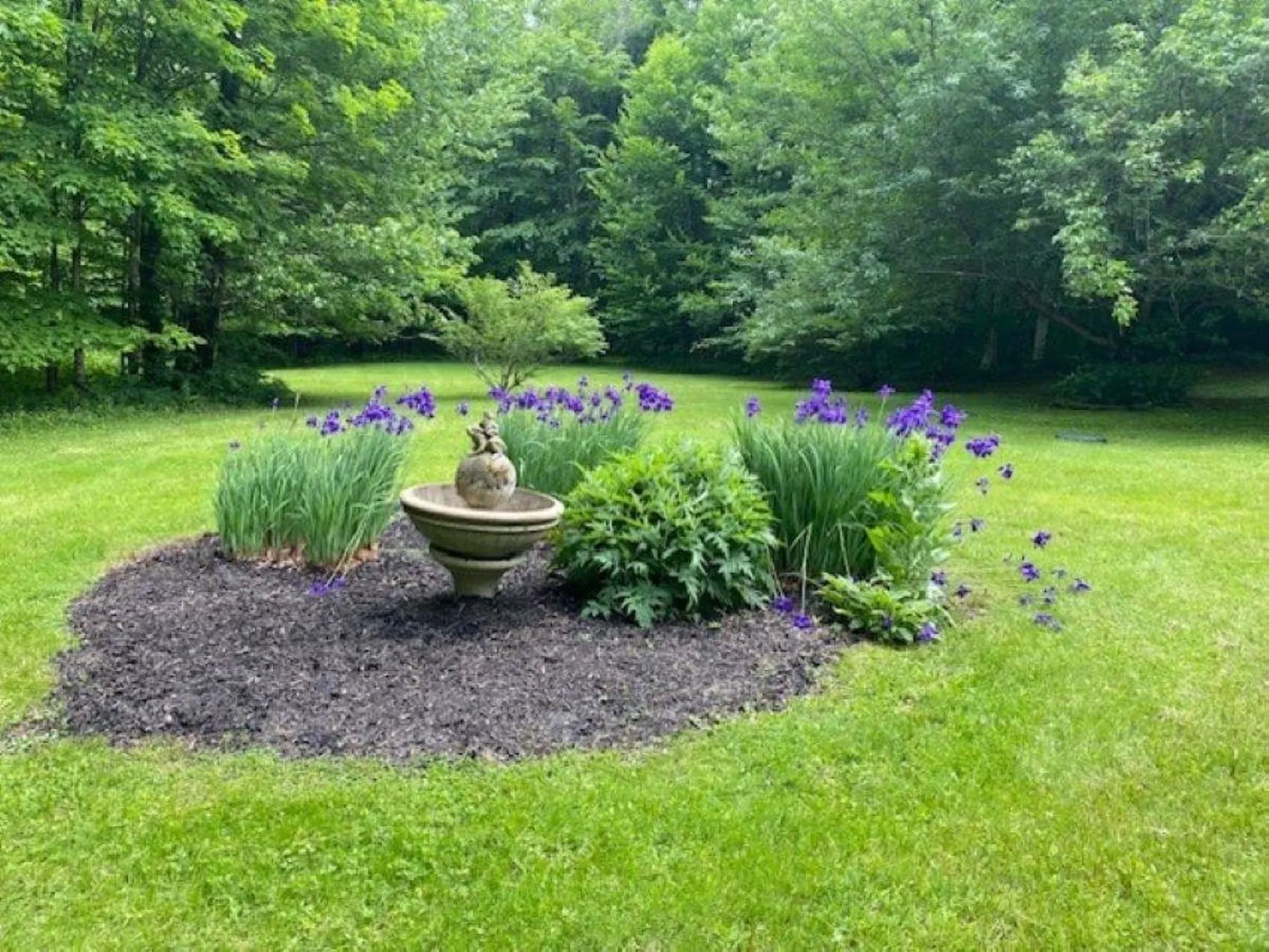 3509 Sterling Valley Road Stowe VT 05672