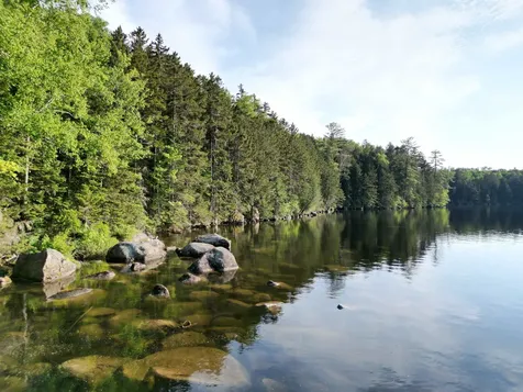 1765 Peacham Pond Road Peacham VT 05862