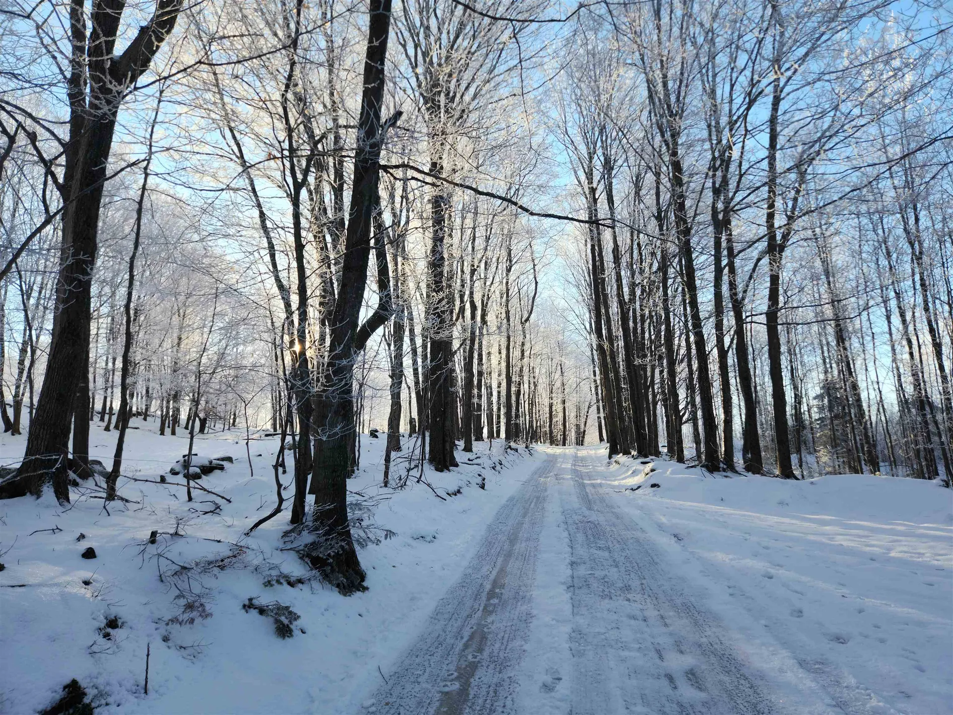 330 Bayley Hazen Road Cabot VT 05647