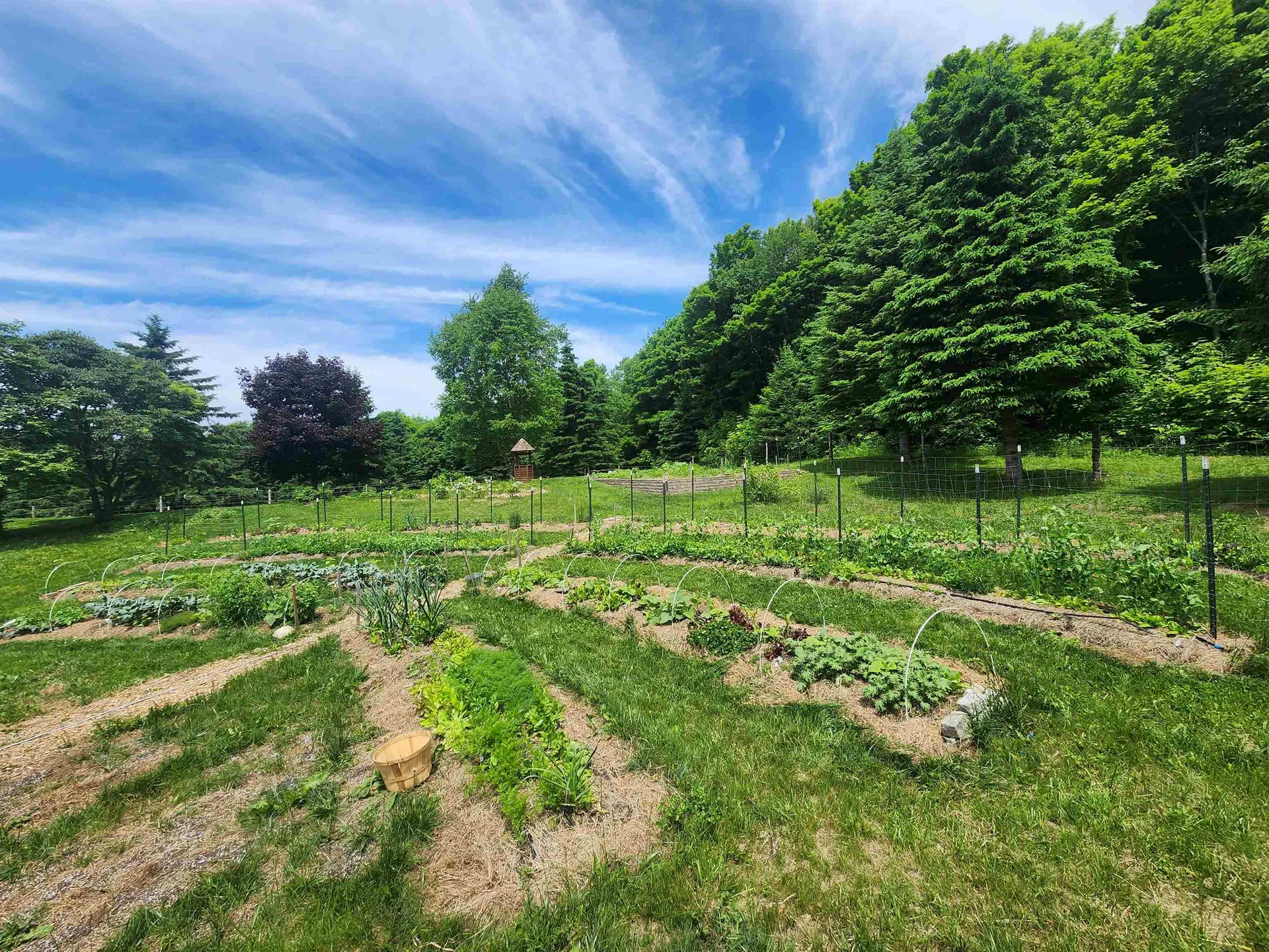 330 Bayley Hazen Road Cabot VT 05647