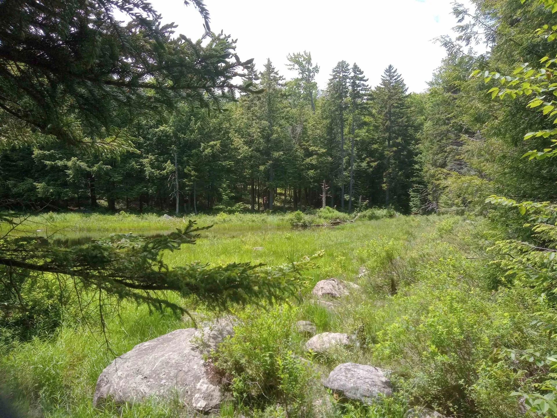 Howes Pond At Ross Road Readsboro VT 05350