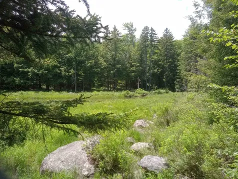 Howes Pond At Ross Road Readsboro VT 05350