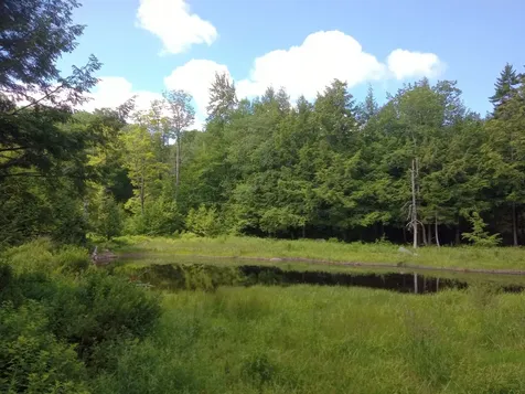 Howes Pond At Ross Road Readsboro VT 05350