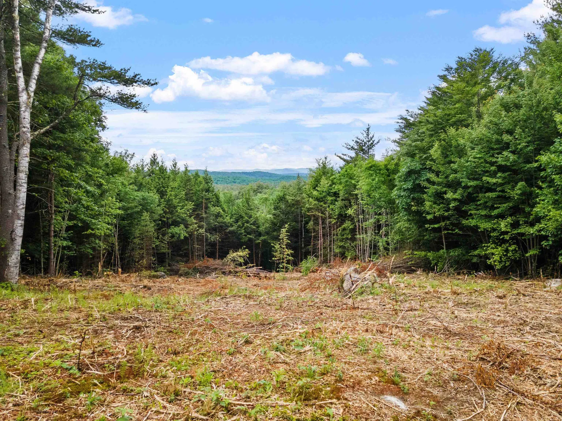 797 Kearsarge Mountain Road Warner NH 03278