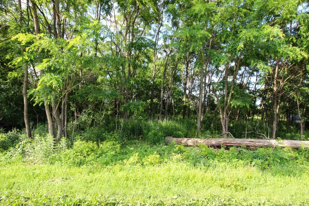 0 Heather Lane North Hero VT 05474