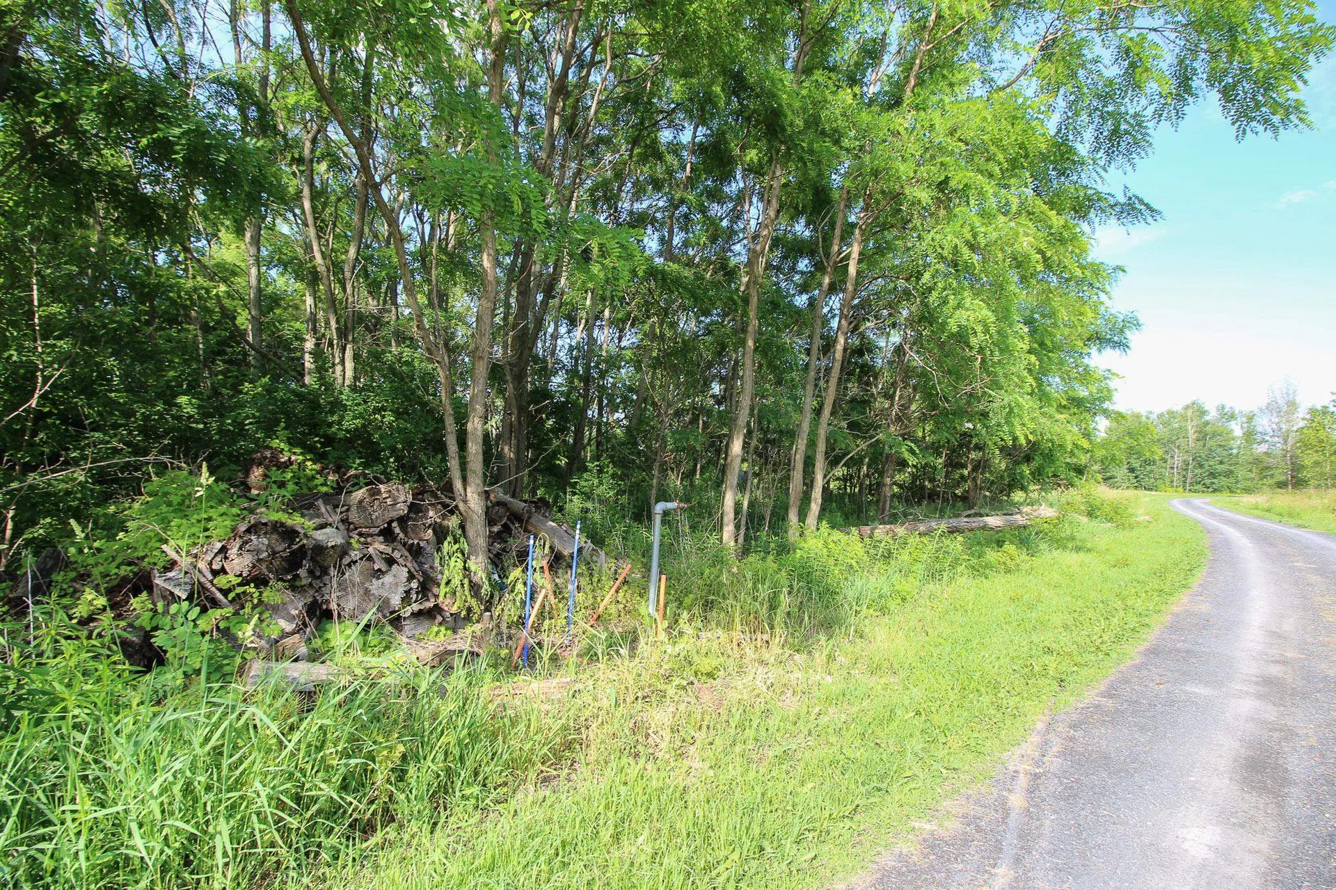 0 Heather Lane North Hero VT 05474