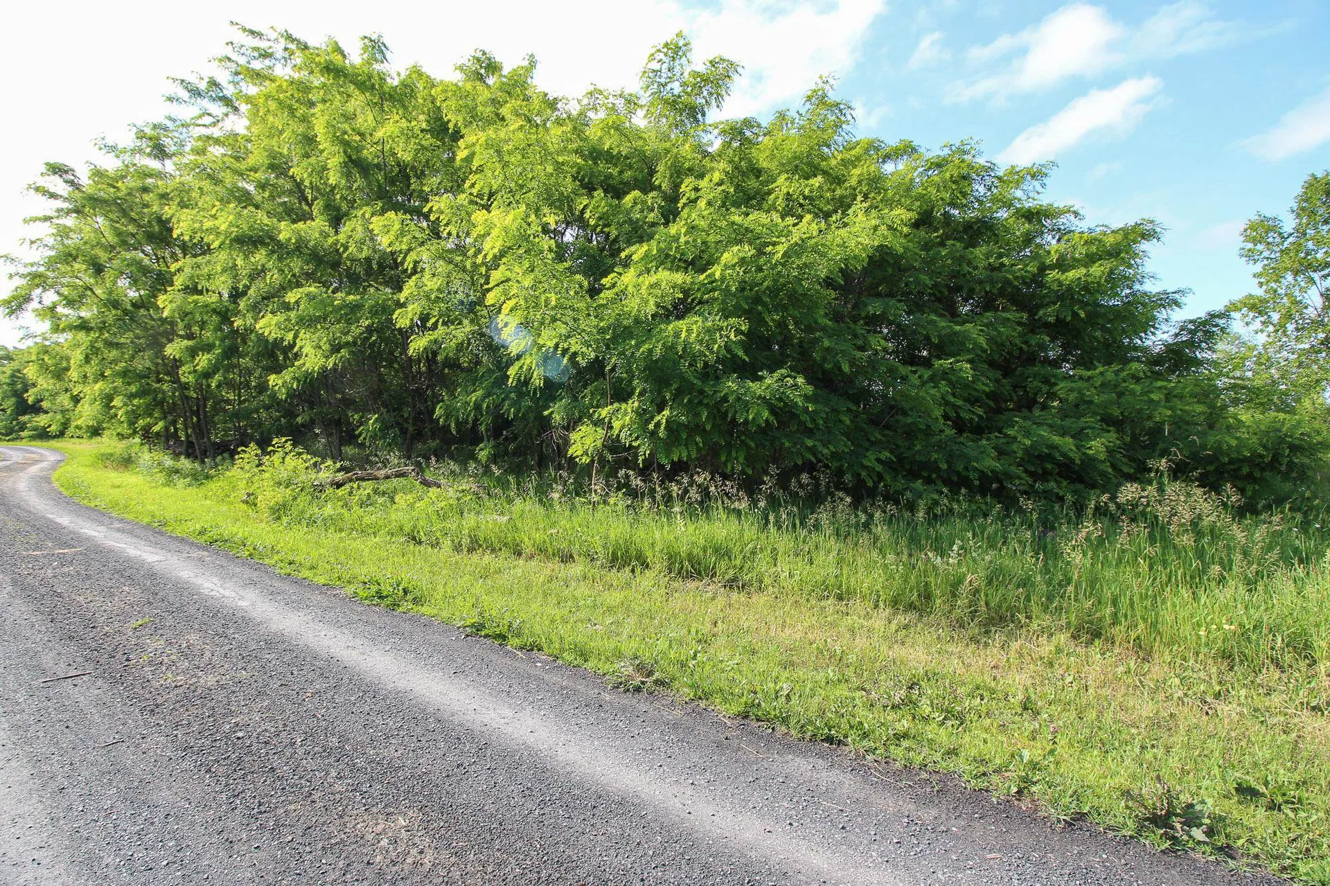 0 Heather Lane North Hero VT 05474