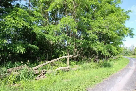 0 Heather Lane North Hero VT 05474